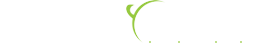 Sysytronic IT Services